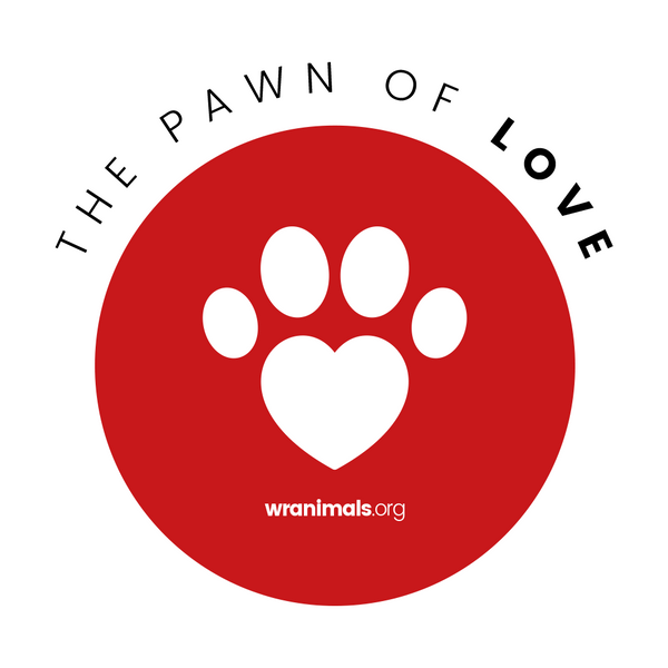 Donation - The Pawn of Love! ❤️🐼🐶🐨